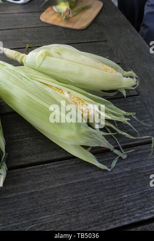 'Fresh Ears of Corn in Husks with Silk' Stock Photo