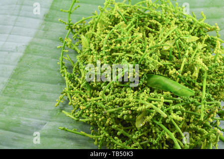 Leaf and flower of Melientha suavis pierre on banana leaf background / Opiliaceae melientha suavis - Pak wan Stock Photo