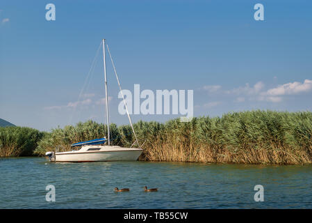 A white sailboat in a calm lake with two wild ducks floating in the lake. The sailboat is anchored near the shoreline with green reeds under clear sky Stock Photo