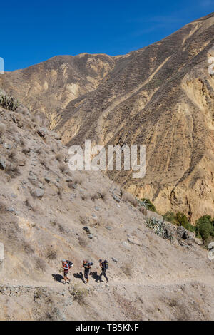 Hikers on the trail of the Colca Canyon, Cabanaconde District, Peru Stock Photo