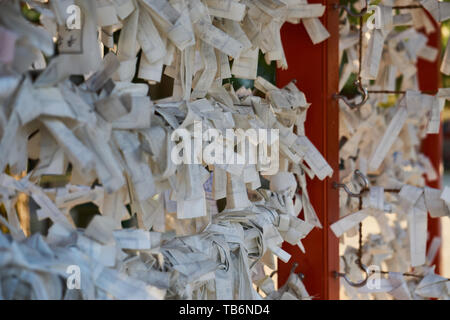 Omikuji (fortunes written on papers sold at Japanese Shrines) are tied up on a special omikujigake under a pine at Heian Jingu Shrine in Kyoto, Japan. Stock Photo