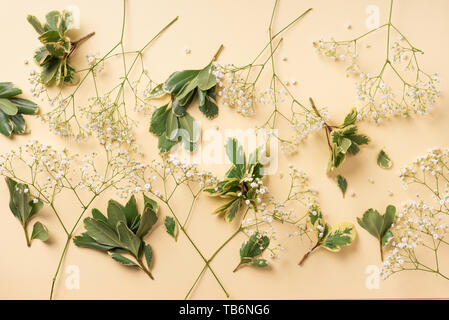 Small white gypsophila flowers on pastel yellow background. Women's Day, Mother's Day, Valentine's Day, Wedding concept. Flat lay. Top view. Copy spac Stock Photo