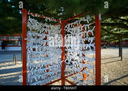 Omikuji (fortunes written on papers sold at Japanese Shrines) are tied up on a special omikujigake under a pine at Heian Jingu Shrine in Kyoto, Japan. Stock Photo