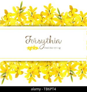 Forsythia suspensa card template with copy space on stripe, fluffy blossoming yellow spring tree. Golden Bell Stock Vector