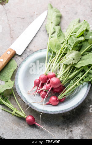 Fresh bunch of radish on concrete background Stock Photo