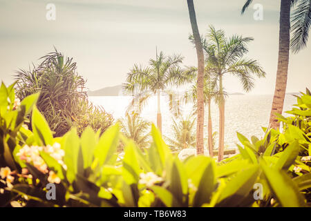 Palm Tree. Beautiful thickets of trees and bushes on the beach during sunset Stock Photo