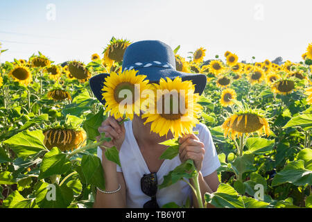 woman playing with two plants of sunflowers Stock Photo