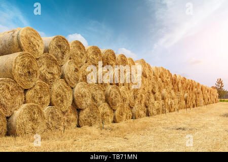 Straw bales on farmland with blue cloudy sky Stock Photo