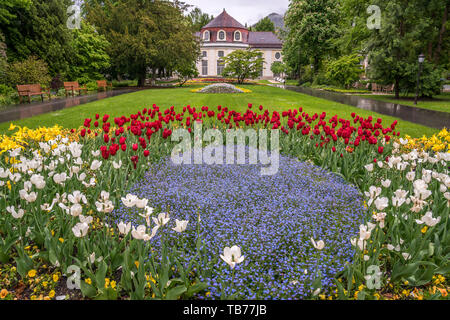 Frühling mit bunten Blumen im königlichen Kurgarten, Bad Reichenhall, Berchtesgadener Land, Oberbayern, Bayern, Deutschland  |  spring flowers at the  Stock Photo