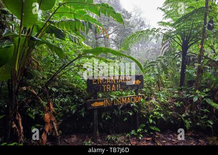 Encantado Trail, signpost and dense vegetation in cloud forest, Reserva Bosque Nuboso Santa Elena, Guanacaste Province, Costa Rica Stock Photo