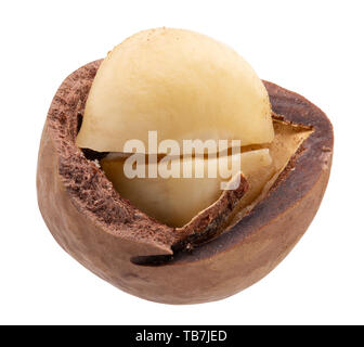 macadam nut isolated on a white background. Stock Photo