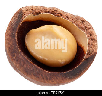 macadam nut isolated on a white background. Stock Photo