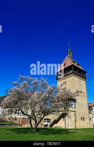 Julius Kuhn Institute for Vine Breeding at Geilweilerhof, Siebeldingen, Palatinate Almond Trail, German Wine Route, Rhineland-Palatinate, Germany Stock Photo