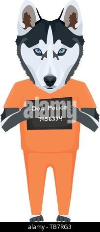 Police photo prison clothes Husky - Mugshot of the guilty dog. The puppy dog eyes can be angry no dog lover. Stock Vector