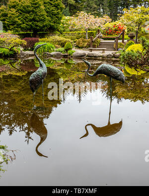 Metal herons standing in the lily pond at Shore Acres State Park, Coos Bay, Oregon Stock Photo