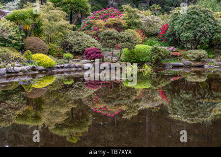 Flowering plants reflect in the lily pond at Shore Acres State Park, Coos Bay, Oregon Stock Photo