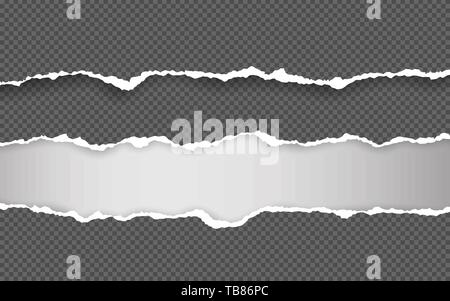 Horizontal torn paper edge. Ripped squared horizontal white paper strips. Vector illustration. Stock Vector