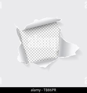 Torn hole in paper on transparent background. Vector illustration. Stock Vector