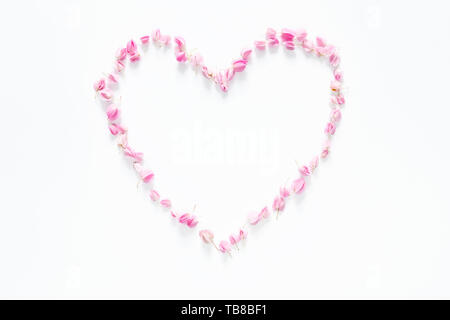 flat lay of floral heart made from pink flowers isolated on white background, top view. flower creative composition Stock Photo