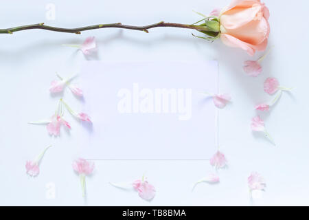 mock up invitation card with rose and pink flower petal as border frame. empty blank white card with copy space Stock Photo