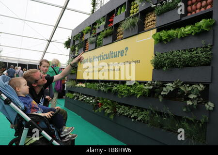 Dublin. 30th May, 2019. People attend Bloom Festival in Dublin, Ireland, May 30, 2019. Bloom Festival, Ireland's largest garden festival, was officially opened to the public by Irish President Michael D. Higgins in Dublin's Phoenix Park on Thursday morning, attracting tens of thousands of visitors both from home and abroad. Credit: Xinhua/Alamy Live News Stock Photo