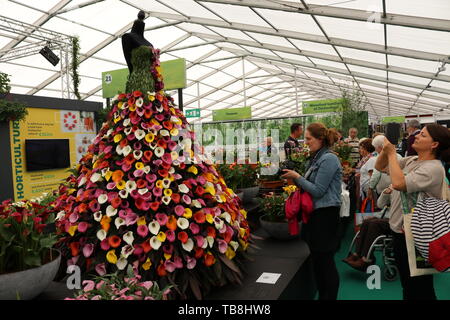 Dublin. 30th May, 2019. Visitors attend Bloom Festival in Dublin, Ireland, May 30, 2019. Bloom Festival, Ireland's largest garden festival, was officially opened to the public by Irish President Michael D. Higgins in Dublin's Phoenix Park on Thursday morning, attracting tens of thousands of visitors both from home and abroad. Credit: Xinhua/Alamy Live News Stock Photo