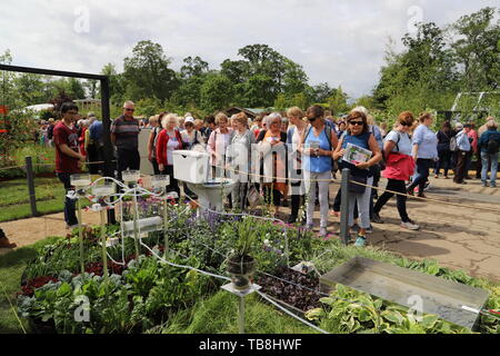 Dublin. 30th May, 2019. Visitors view a garden which involves the work of a Chinese student from Trinity College Dublin at Bloom Festival in Dublin, Ireland, May 30, 2019. Bloom Festival, Ireland's largest garden festival, was officially opened to the public by Irish President Michael D. Higgins in Dublin's Phoenix Park on Thursday morning, attracting tens of thousands of visitors both from home and abroad. Credit: Xinhua/Alamy Live News Stock Photo
