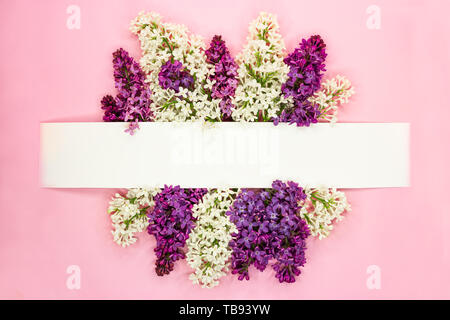 Bordr of purple lilac flowers and white frame for text and invitation. Top  view Stock Photo - Alamy