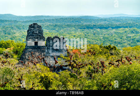 Ancient Mayan ruins at Tikal in Guatemala Stock Photo