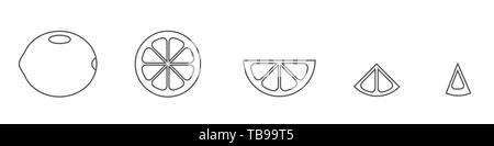 Lime. Outline thin line, Cut lime with slices isolated over white background Vector illustration Stock Vector