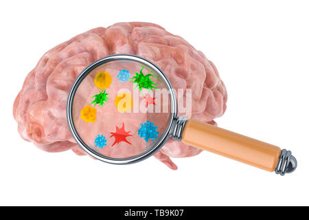 Research and diagnosis of brain diseases concept. Human brain with viruses and bacterias under magnifying glass, 3D rendering isolated on white backgr Stock Photo