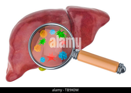 Research and diagnosis of liver diseases concept. Human liver with viruses and bacterias under magnifying glass, 3D rendering isolated on white backgr Stock Photo