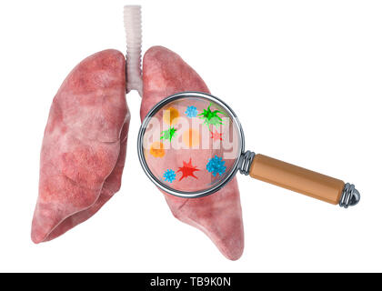 Research and diagnosis of lungs diseases concept. Human lungs with viruses and bacterias under magnifying glass, 3D rendering isolated on white backgr Stock Photo