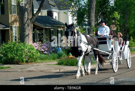 A man drives a horsedrawn carriage through downtown Columbus, Mississippi, April 17, 2010. Tourists can enjoy rides throughout the city. Stock Photo