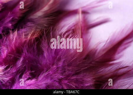 Soft feathers on color background, closeup Stock Photo