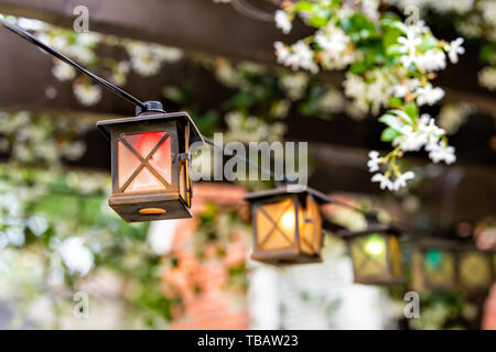 Patio outdoor spring garden in backyard of home with closeup of red lantern lamps lights hanging from pergola wooden gazebo and plants white flowers Stock Photo