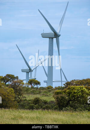 Windmill farms near the  village of Sedini, province of Sassari , Sardinia, Italy. Stock Photo