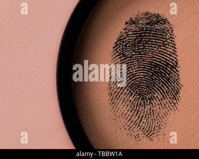 Fingerprint under a magnifying glass, light red background. Biometrics and crime concept. Stock Photo