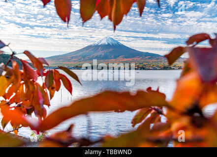 Mount Fuji and Lake Kawaguchiko in Autumn Leaves Stock Photo