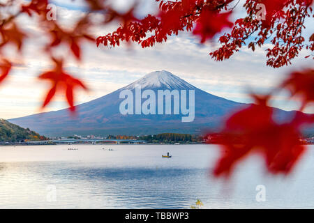 Mount Fuji and Lake Kawaguchiko in Autumn Leaves Stock Photo