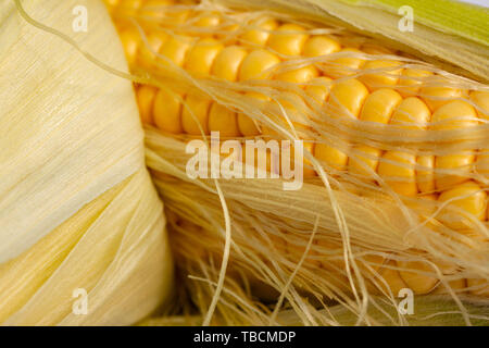 Corncob with leaves. Extreme close up image Stock Photo