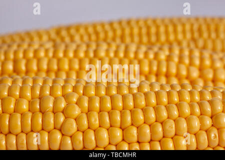 Corncobs lying side by side. Close up image Stock Photo
