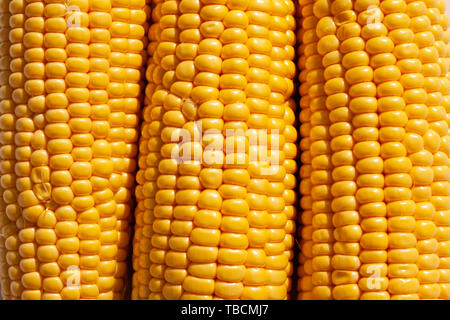 Corncobs lying side by side. Close up image Stock Photo