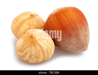 roasted hazelnut path isolated on white Stock Photo