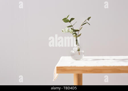 Vase with fresh eucalyptus branches on table against grey background Stock Photo
