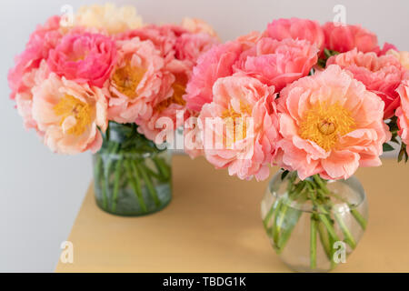Cozy and atmosphere at home. Two glass vases with Coral peonies. Morning light in the room. Beautiful peony flower for catalog or online store. Floral Stock Photo