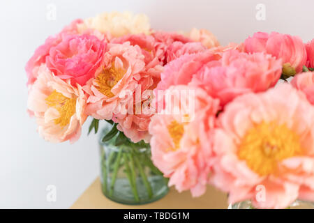 Focus on the background. Cozy and atmosphere at home. Two glass vases with Coral peonies. Morning light in the room. Beautiful peony flower for Stock Photo