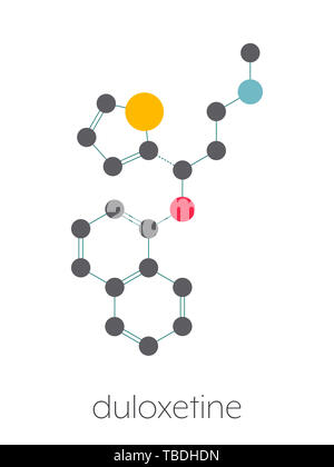 Duloxetine antidepressant drug (SNRI class) molecule. Also used in fibromyalgia treatment, etc. Stylized skeletal formula (chemical structure). Atoms are shown as color-coded circles connected by thin bonds, on a white background: hydrogen (hidden), carbon (grey), nitrogen (blue), sulfur (yellow), oxygen (red) Stock Photo