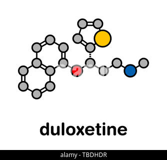 Duloxetine antidepressant drug (SNRI class) molecule. Also used in fibromyalgia treatment, etc. Stylized skeletal formula (chemical structure). Atoms are shown as color-coded circles with thick black outlines and bonds: hydrogen (hidden), carbon (grey), nitrogen (blue), sulfur (yellow), oxygen (red) Stock Photo