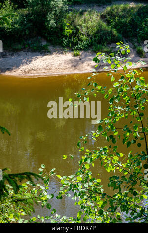 calm forest river hiding behind tree branches. summer with calm water ...